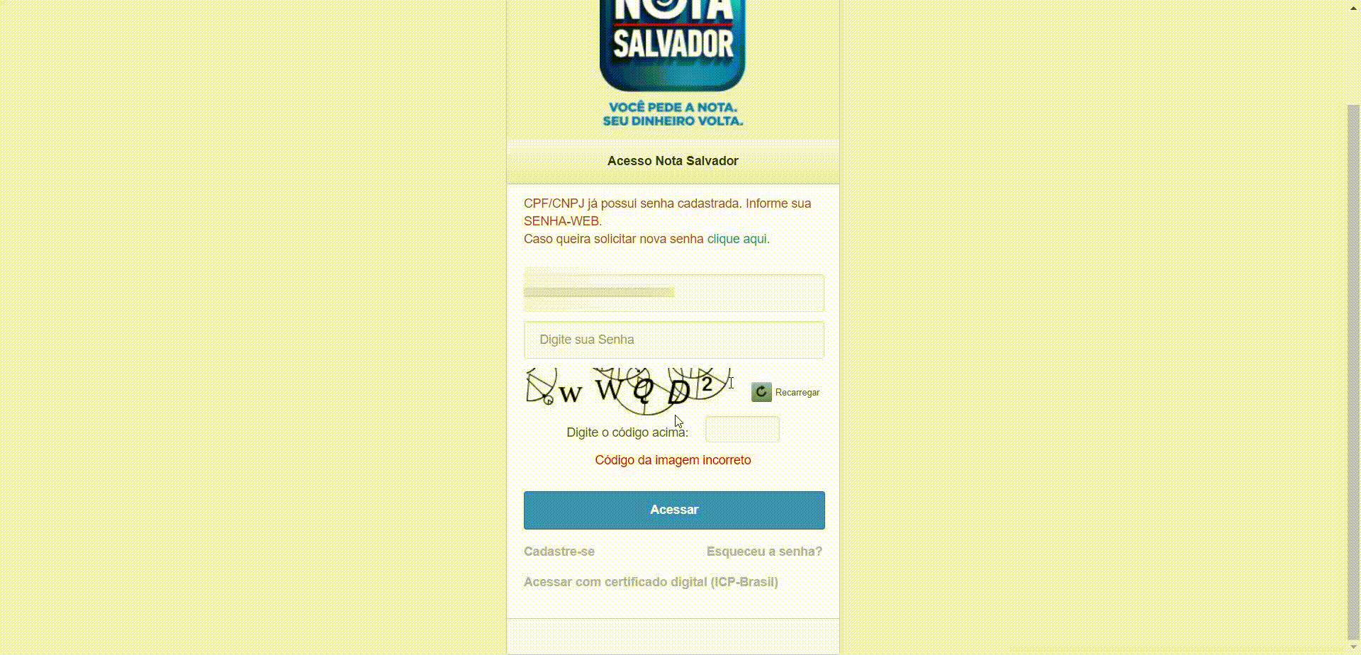 salvador.gif